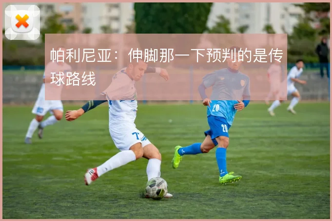 帕利尼亚：伸脚那一下预判的是传球路线