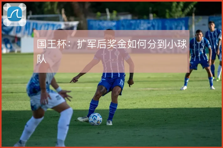 国王杯：扩军后奖金如何分到小球队