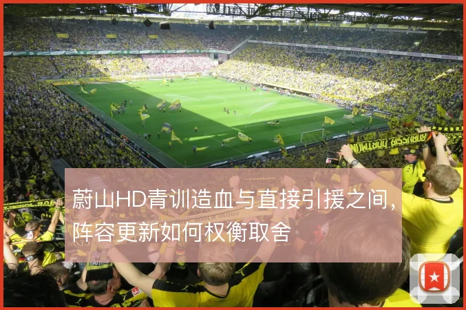 蔚山HD青训造血与直接引援之间,阵容更新如何权衡取舍