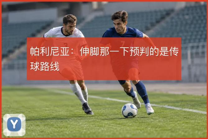 帕利尼亚：伸脚那一下预判的是传球路线