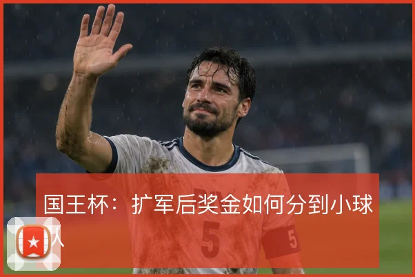 国王杯：扩军后奖金如何分到小球队